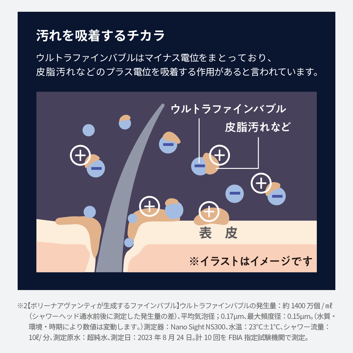 ボリーナ アヴァンティ