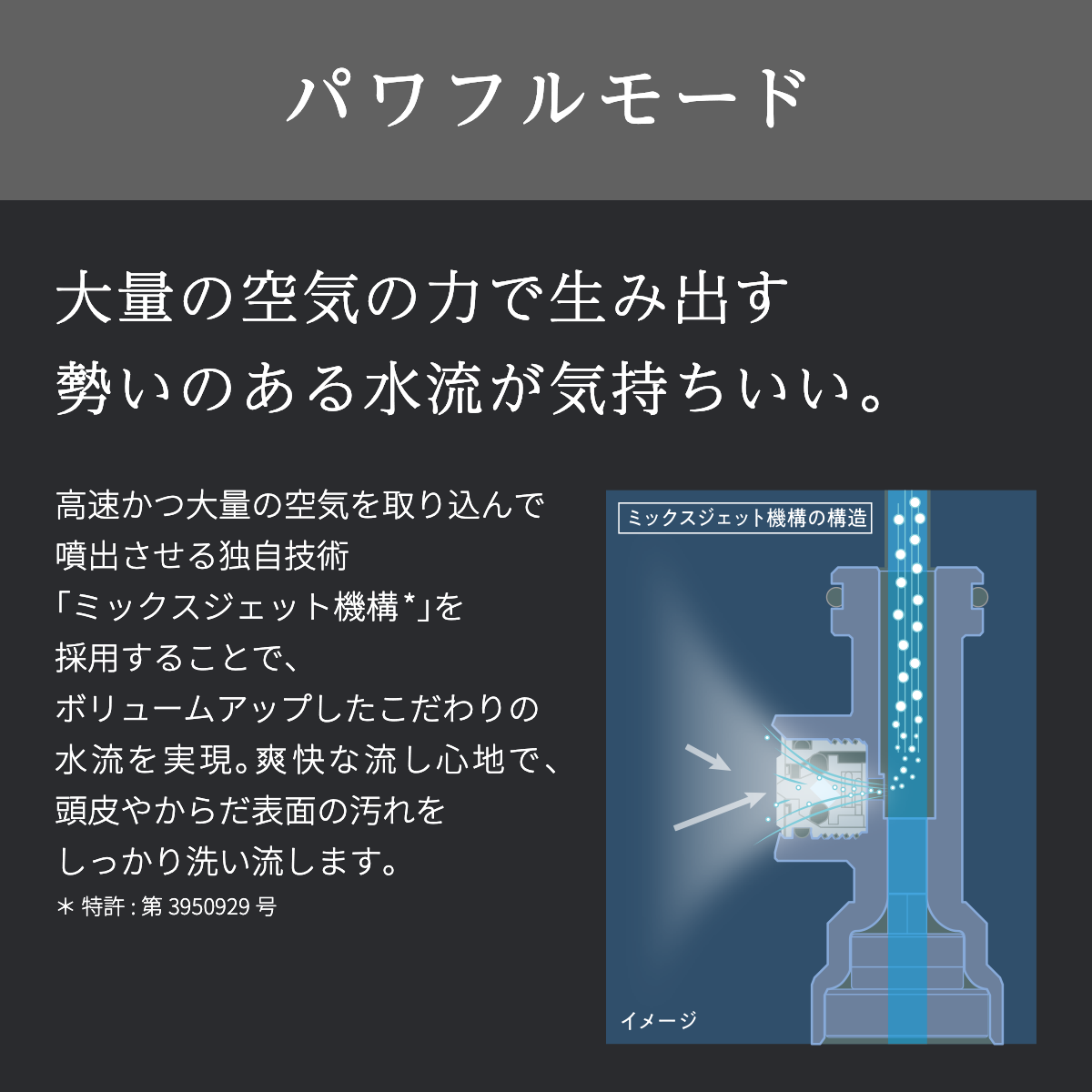 ボリーナ アヴァンティ