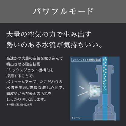 ボリーナ アヴァンティ