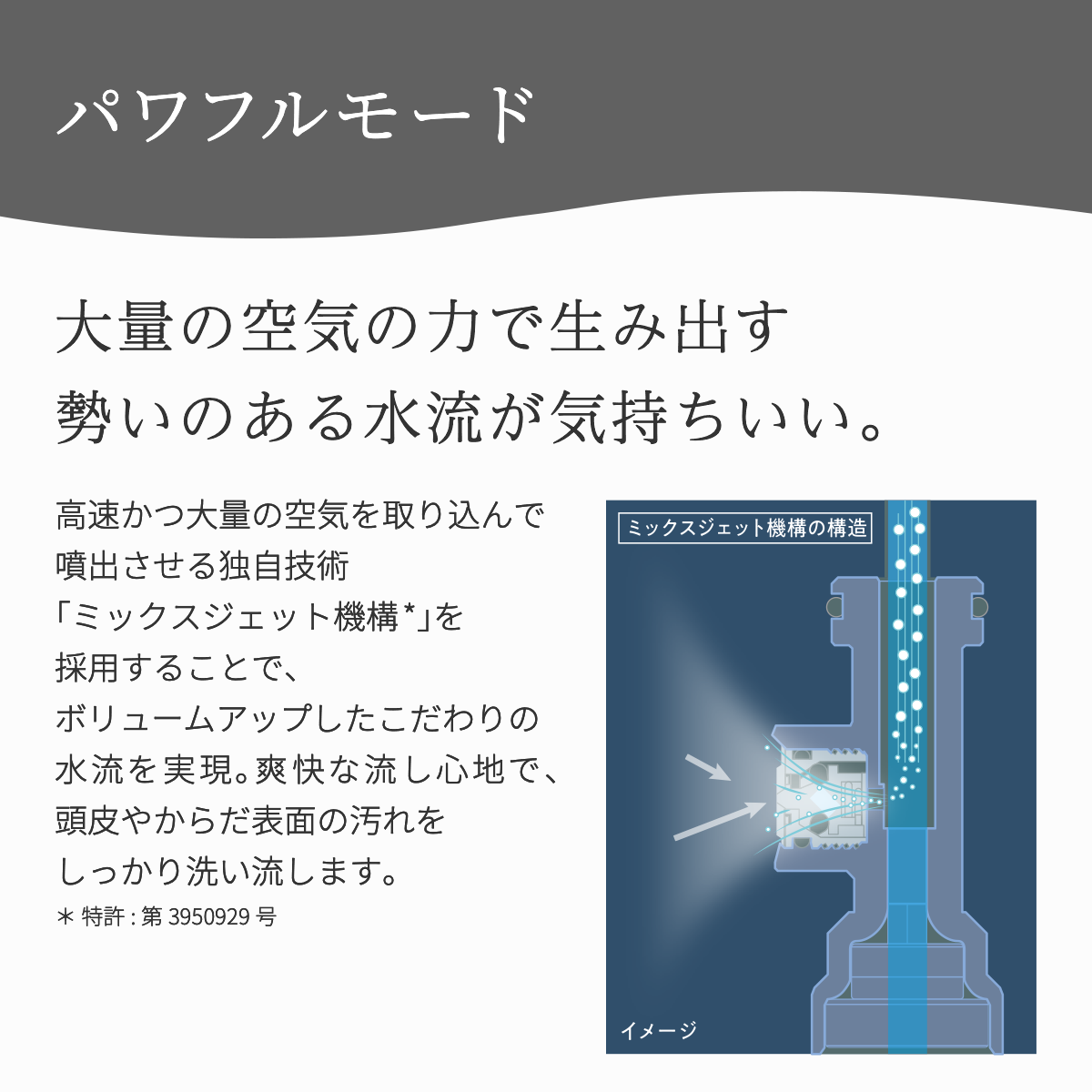 ボリーナ アヴァンティ アクア