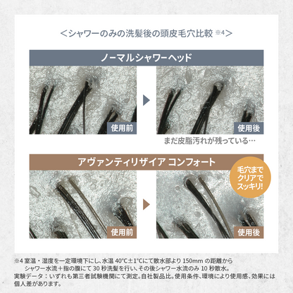 アヴァンティリザイア コンフォート