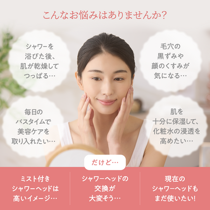 【オトナミューズ掲載】ピュアラスフィニッシュミスト・スターターキット