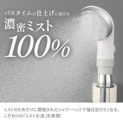 【オトナミューズ掲載】ピュアラスフィニッシュミスト・スターターキット