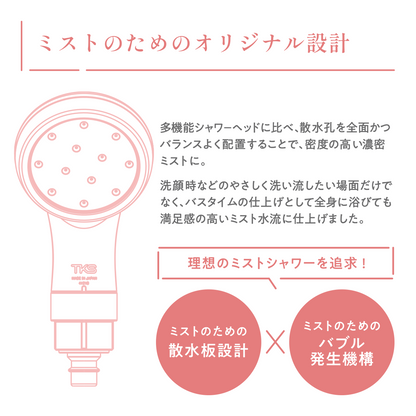 【オトナミューズ掲載】ピュアラスフィニッシュミスト・スターターキット