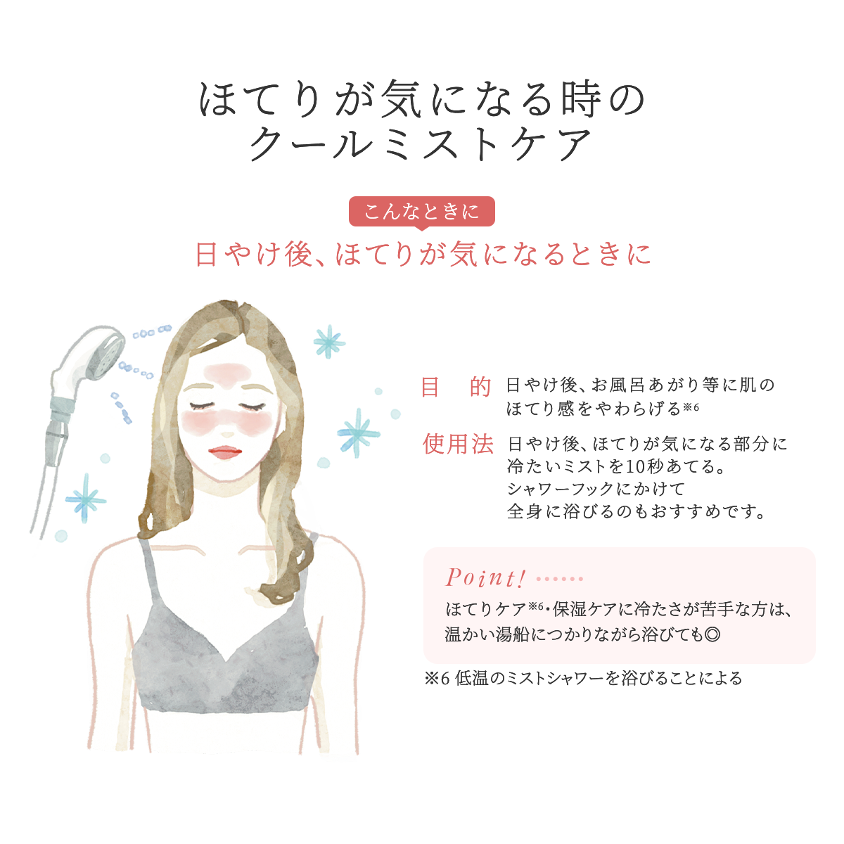 【オトナミューズ掲載】ピュアラスフィニッシュミスト・スターターキット