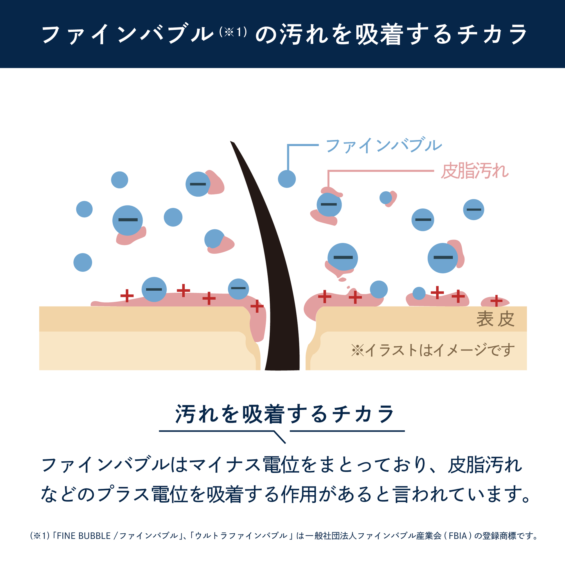 アヴァンティ ファインのファインバブルが汚れを吸着する仕組みを示したイラスト。ファインバブルは汚れを吸着する作用があると言われている。